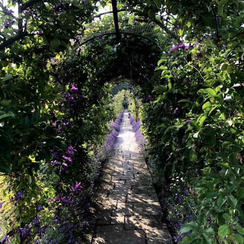 clematis Archway