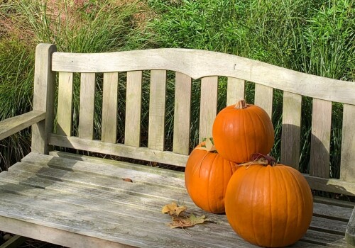 Halloween Scavenger Hunt: Gather your little goblins and ghouls!