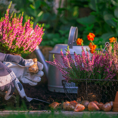 Spring into April with Gardening, Landscaping and Outdoor Living
