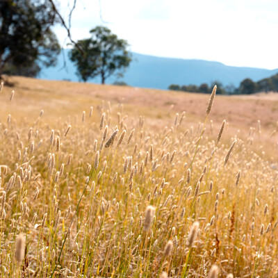 Enter the Future of Farming: Farming for Nature Is Live!