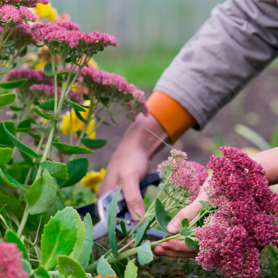 Get Your Garden Autumn-Ready with Leckford Estate