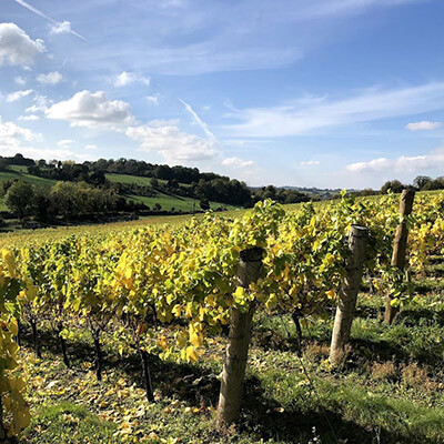 Add A Sparkle to Your Summer with Leckford Estate Brut